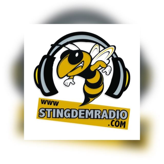 Stingdem Radio logo